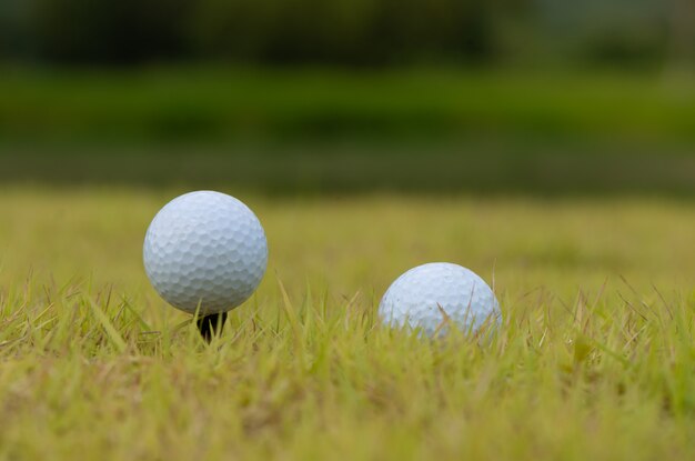 Pallina da golf sul tee green