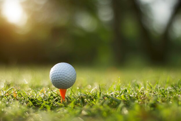 Pallina da golf sul tee in un bellissimo campo da golf con sole mattutino