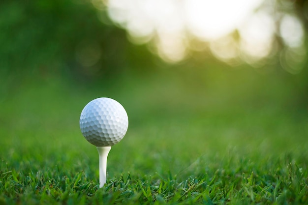 Pallina da golf sul tee in un bellissimo campo da golf con sole mattutino