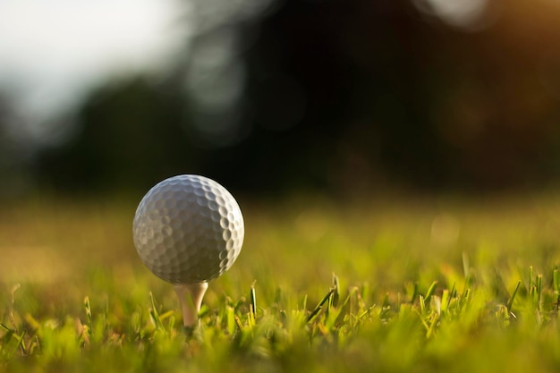 Pallina da golf sul tee in un bellissimo campo da golf con sole mattutino