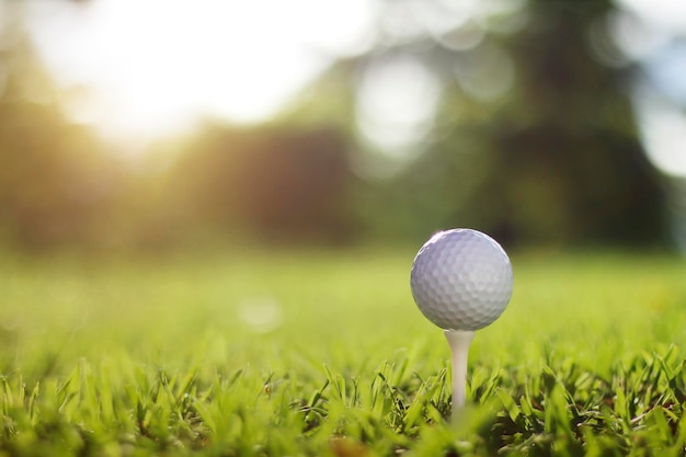 Pallina da golf sul tee in un bellissimo campo da golf con sole mattutino