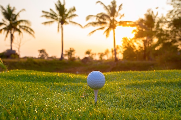 Pallina da golf sul tee