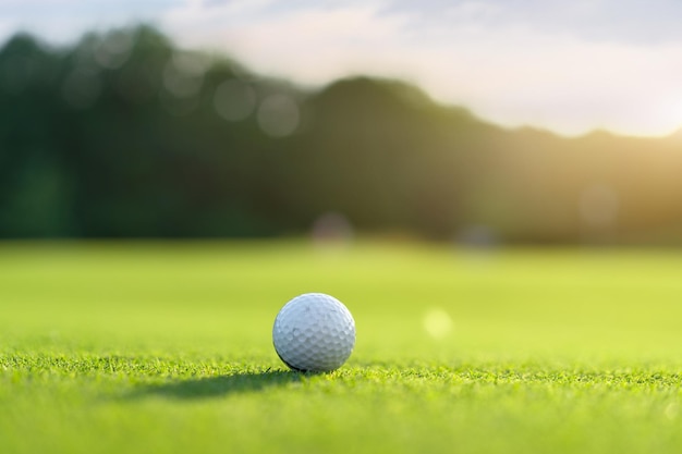 Pallina da golf sull'erba del campo verde soleggiata giornata estiva Nessuno