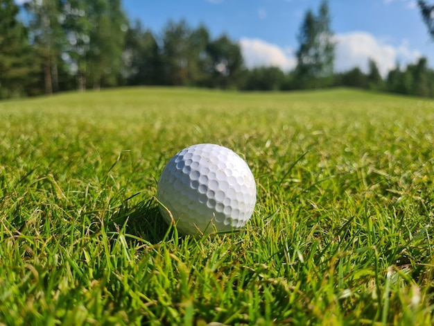 Pallina da golf sull'erba verde dello spazio della copia del campo da golf