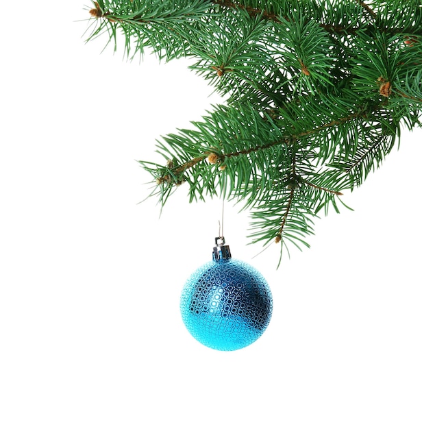 Pallina di Natale blu su un ramo di abete, isolato su bianco