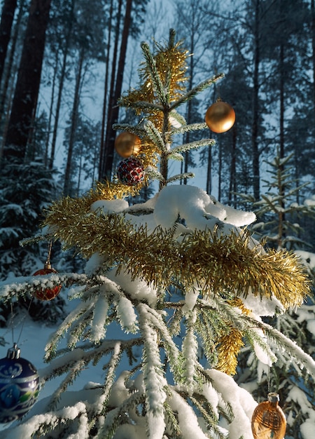 Pallina di Natale luminosa da un ramo di albero di Natale coperto di neve nella foresta di abeti rossi, spazio copia