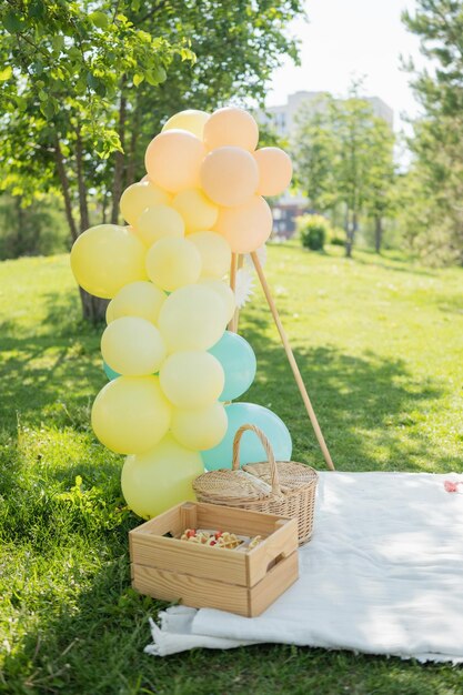 Palloncini gialli e blu e un cestino da picnic sull'erba