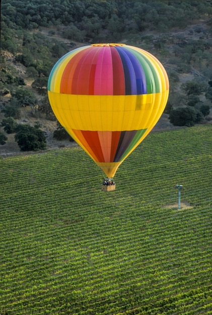 Palloncino ad aria calda che vola sopra il campo contro il cielo