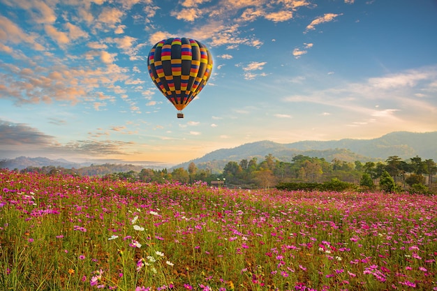 Palloncino colorato sopra il bellissimo fiore dell'universo nel parco