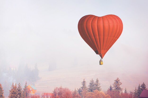 Palloncino rosso nel cielo blu con la foresta in basso