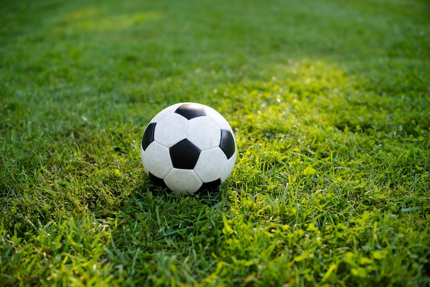 Pallone da calcio su erba verde nel parco