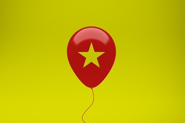 Pallone del Vietnam