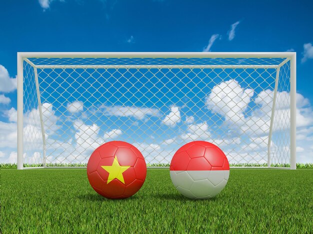 Palloni da calcio nei colori delle bandiere sul campo di calcio Vietnam con rendering 3d in Indonesia