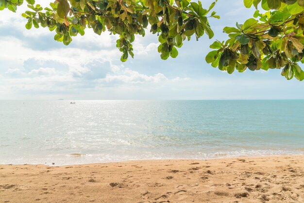 palma con spiaggia vuota