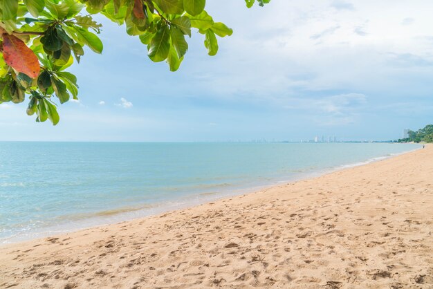 palma con spiaggia vuota