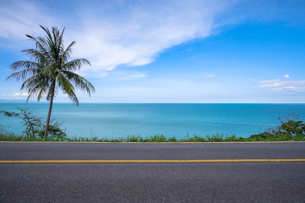 Palma da cocco sul lato della strada asfaltata e paesaggi marini tropicali sullo sfondo