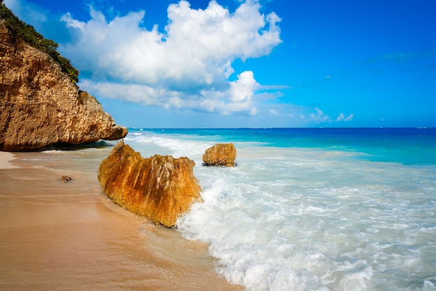 Palma della spiaggia di Tulum in Riviera Maya