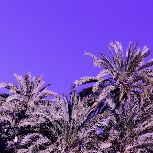 Palma. Spiaggia. Arte di concetto di viaggio. Spagna