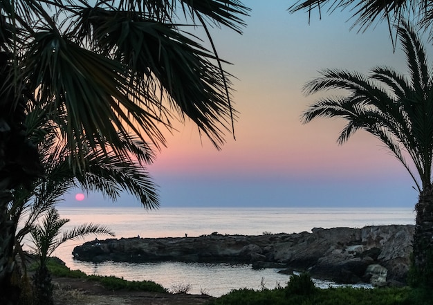 Palme, bellissima alba. estate - tempo di riposo. Cipro