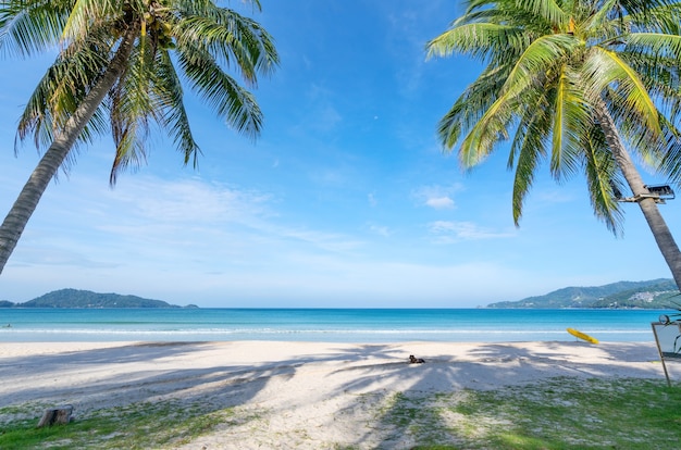 Palme da cocco e mare turchese a phuket patong beach. Vacanze estive nella natura e concetto di sfondo spiaggia tropicale.