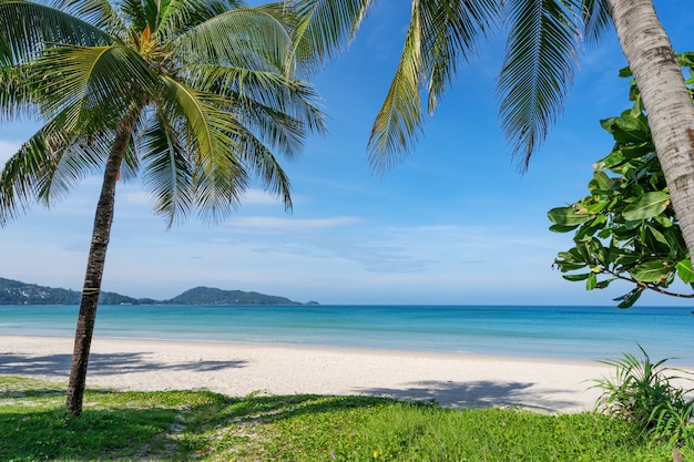 Palme da cocco e mare turchese a phuket patong beach. Vacanze estive nella natura e concetto di sfondo spiaggia tropicale.