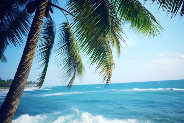 Palme del paradiso tropicale in riva all'oceano