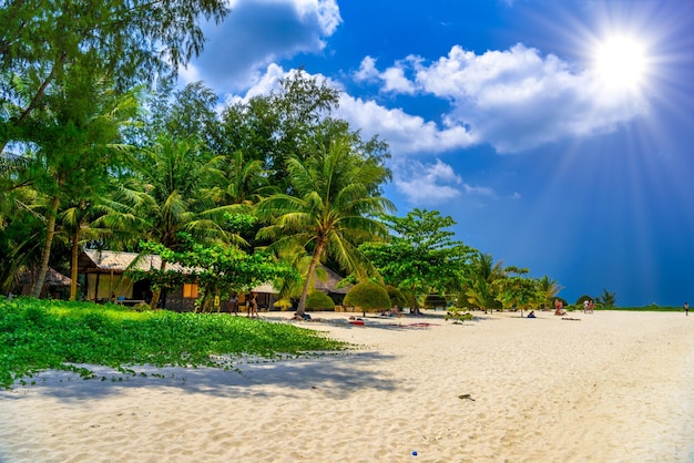 Palme e sabbia sull'isola di Malibu Beach Koh Phangan Suratthani