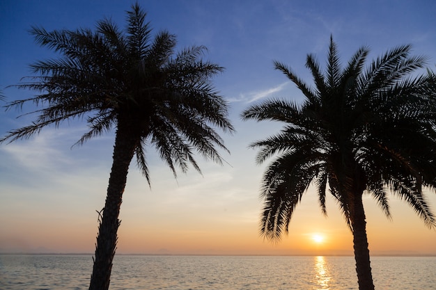 Palme, lago al mattino.