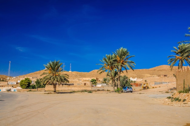 Palme nel deserto del Sahara Tunisia Nord Africa