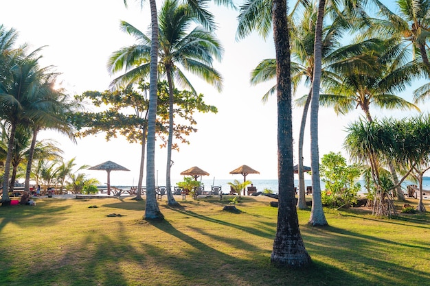 Palme su un'isola vicino alla spiaggia al mattino