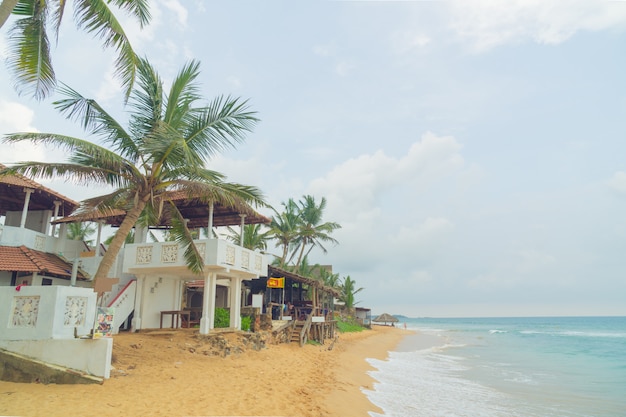 Palme sulla riva dell&#39;Oceano Indiano sulla spiaggia a Hikkaduwa, Sri Lanka.