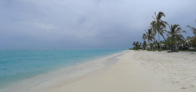 palme sulla sabbia bianca su un'isola tropicale