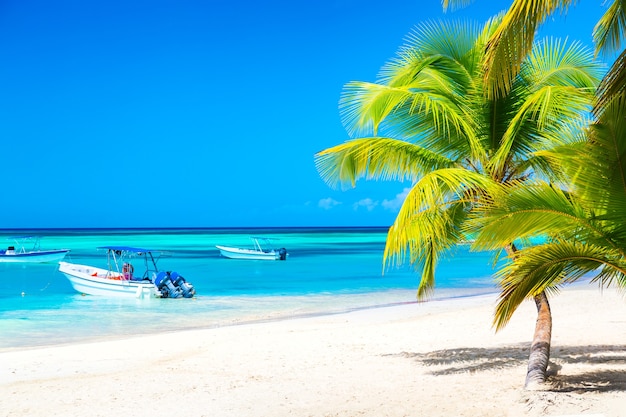 Palme sulla spiaggia tropicale caraibica con barche e mare turchese. Isola di Saona, Repubblica Dominicana. Fondo di viaggio di vacanza.