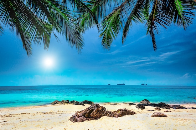 Palme sulla spiaggia tropicale e cielo blu con nuvole bianche nella provincia di Krabi, Thailandia