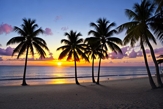 Palme tropicali al tramonto sulla spiaggia paradisiaca