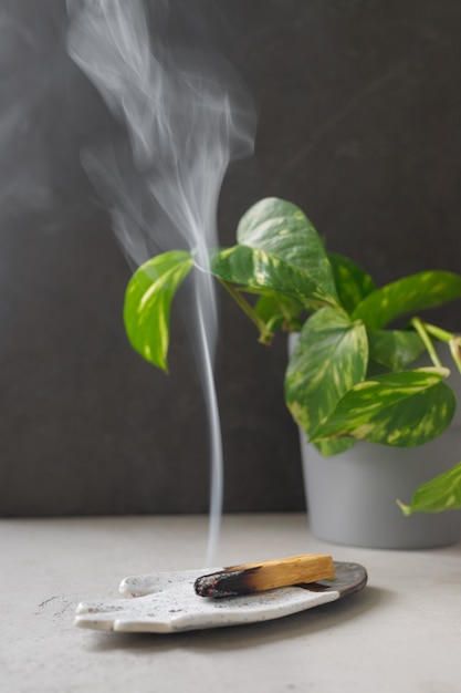 Palo santo fuma su un piatto di ceramica