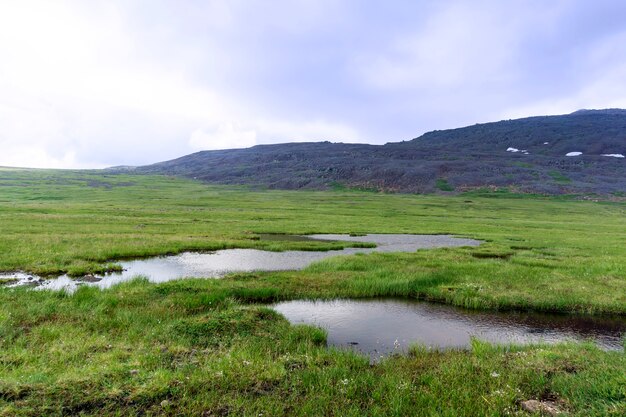 Palude alta con un lago d'acqua aperta nella tundra di montagna