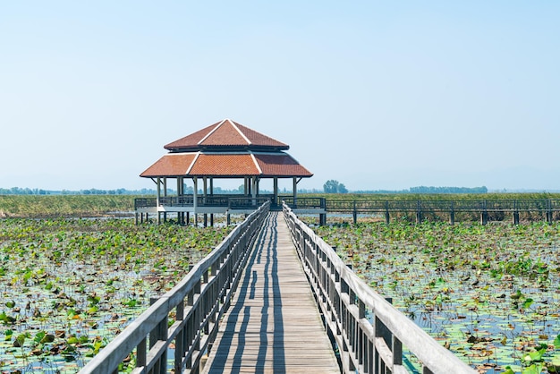 Palude d'acqua dolce di Sam Roi Yot o Parco nazionale di Bueng Bua Khao Sam Roi Yot