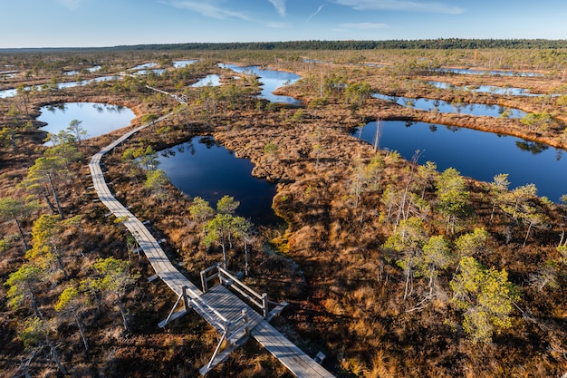 Palude sollevata in Lettonia. Parco Nazionale Kemeri. Paesaggio