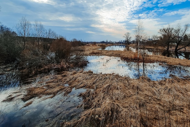 Paludi del nord all'inizio della primavera Escursioni ecologiche Turismo ecologico Il concetto di connessione con la natura Campagna d'acqua alta