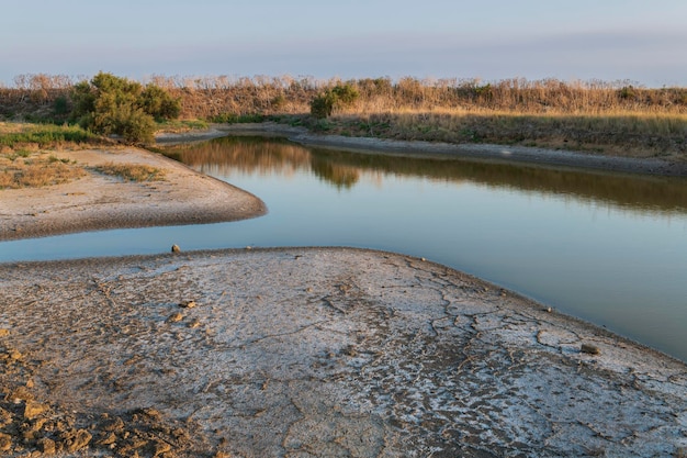 paludi. Panoramica della riserva naturale nazionale dell'isola di Lilleau des Niges R. Le Porte Francia