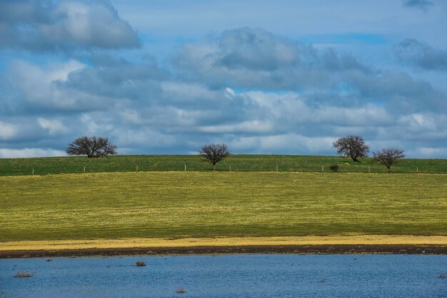 Pampa paesaggio con cielo nuvoloso La Pampa Argentina