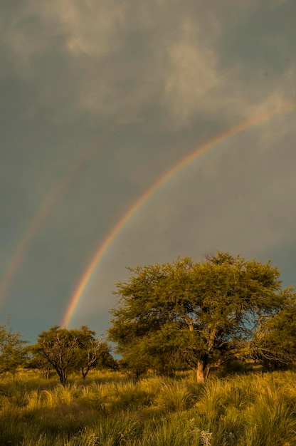 Pampa pianura paesaggio arcobaleno Argentina