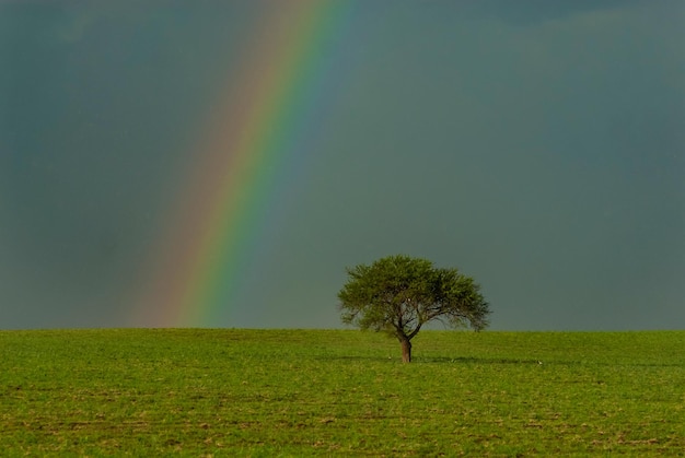 Pampas paesaggio con raibow, provincia di La Pampa, Patagonia, Argentina.