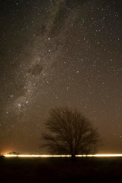 Pampas paesaggio fotografato di notte con un cielo stellato La Pampa provincia Patagonia Argentina