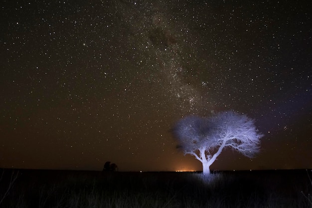 Pampas paesaggio fotografato di notte con un cielo stellato La Pampa provincia Patagonia Argentina