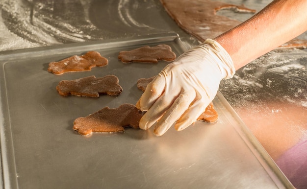 pan di zenzero e biscotti