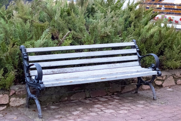 Panca bagnata nel primo piano del parco autunnale