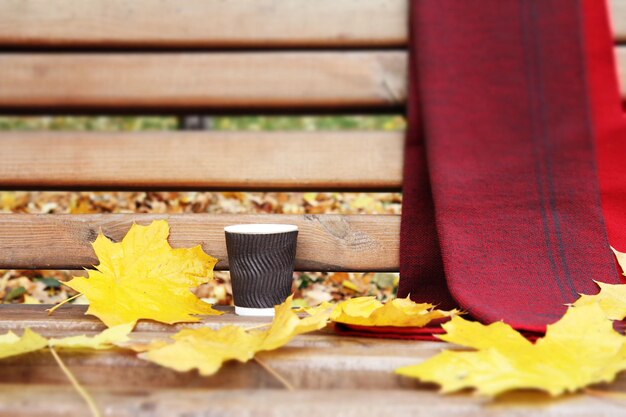 Panca con sciarpa per tazza di caffè e foglie secche nel parco cittadino in autunno