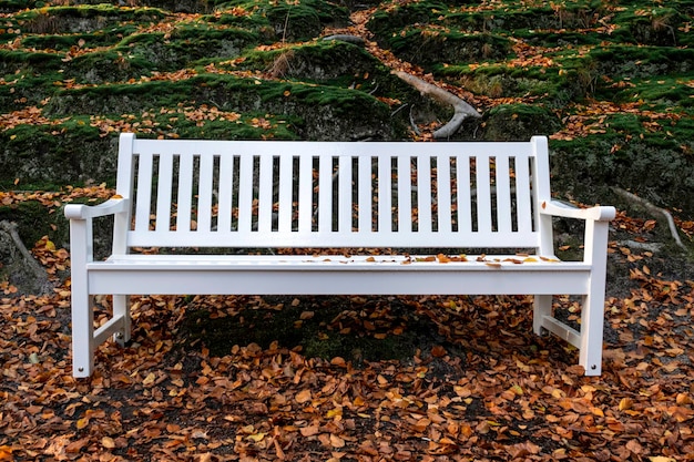 Panca da giardino bianca mobili autunnali parco forestale